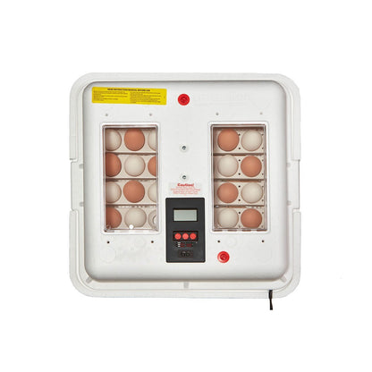 Little Giant Deluxe Incubator with Egg Turner - QC Supply - 
