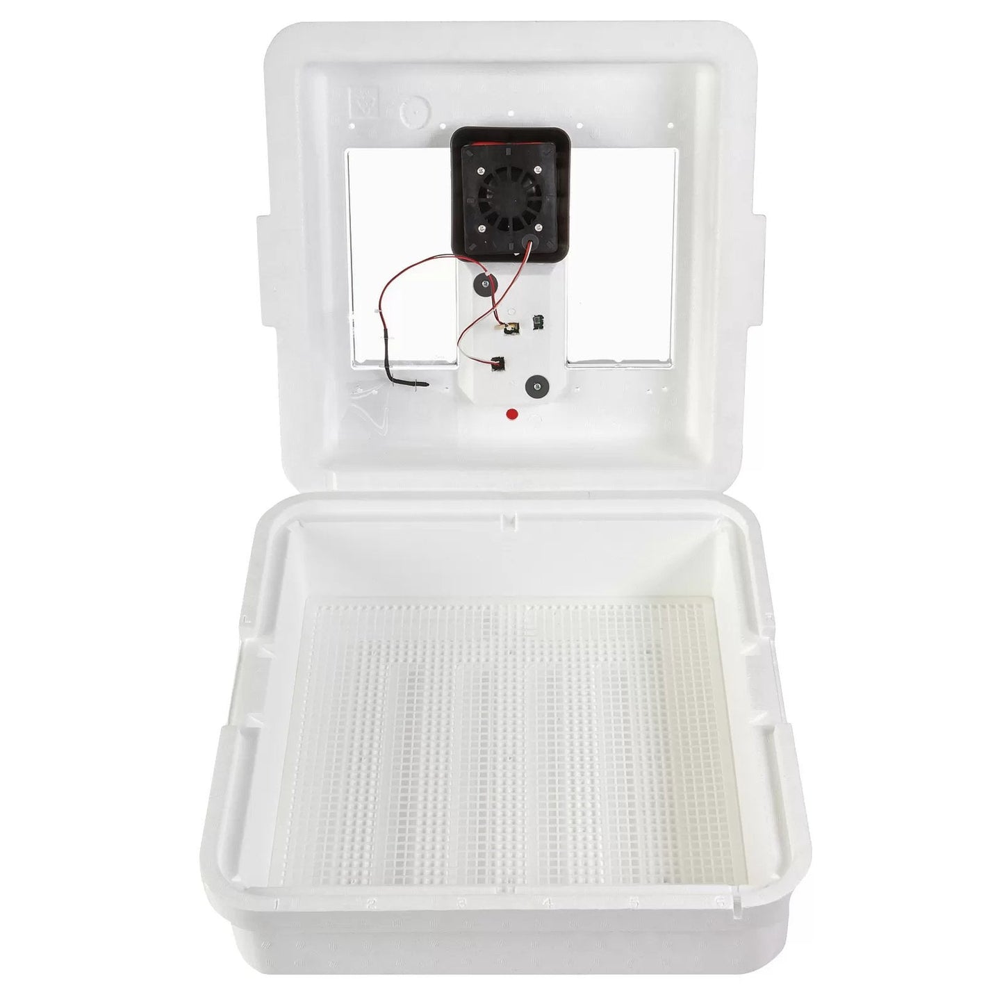 Little Giant® Digital Still Air Incubator - QC Supply - 