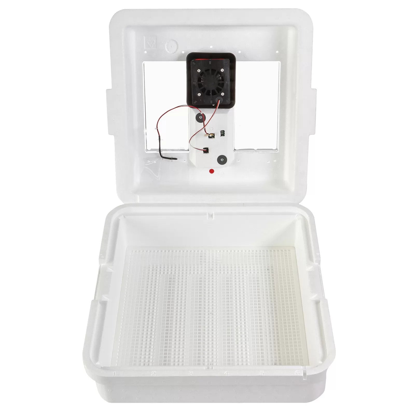 Little Giant® Digital Still Air Incubator - QC Supply - 