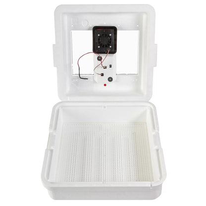Little Giant® Digital Still Air Incubator - QC Supply - 