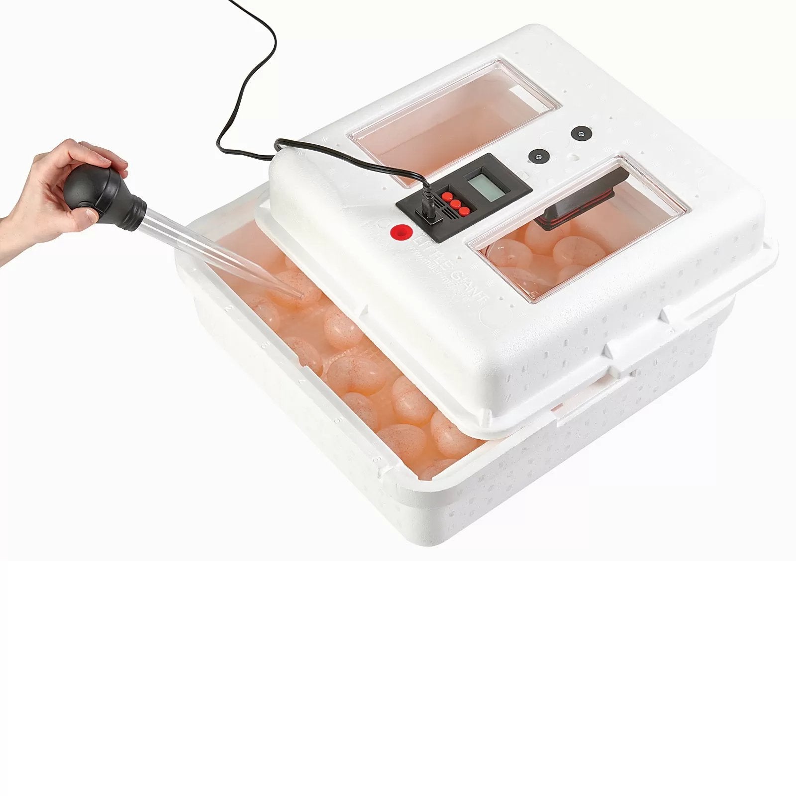 Little Giant® Digital Still Air Incubator - QC Supply - 