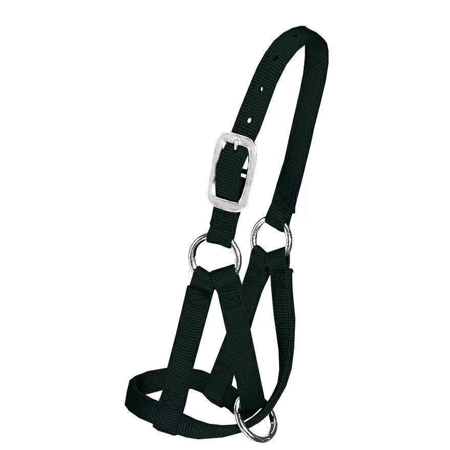 Llama Halter - QC Supply - 