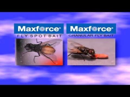 MAXFORCE® Fly Spot Bait - QC Supply - 