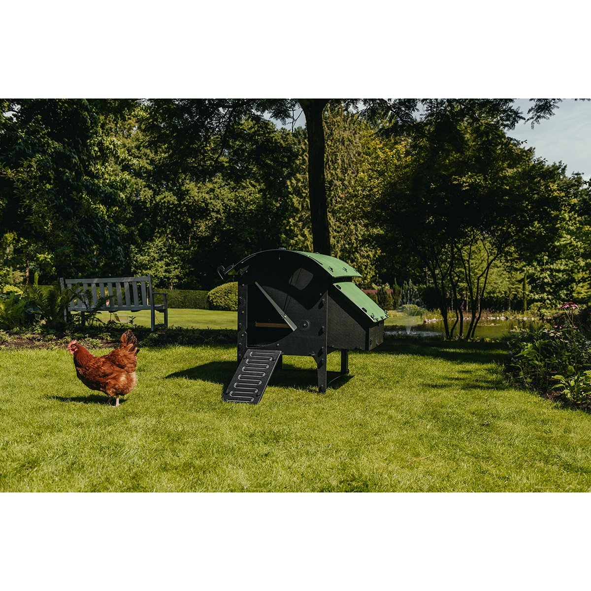 Nestra Medium Lodge Chicken Coop - QC Supply - 
