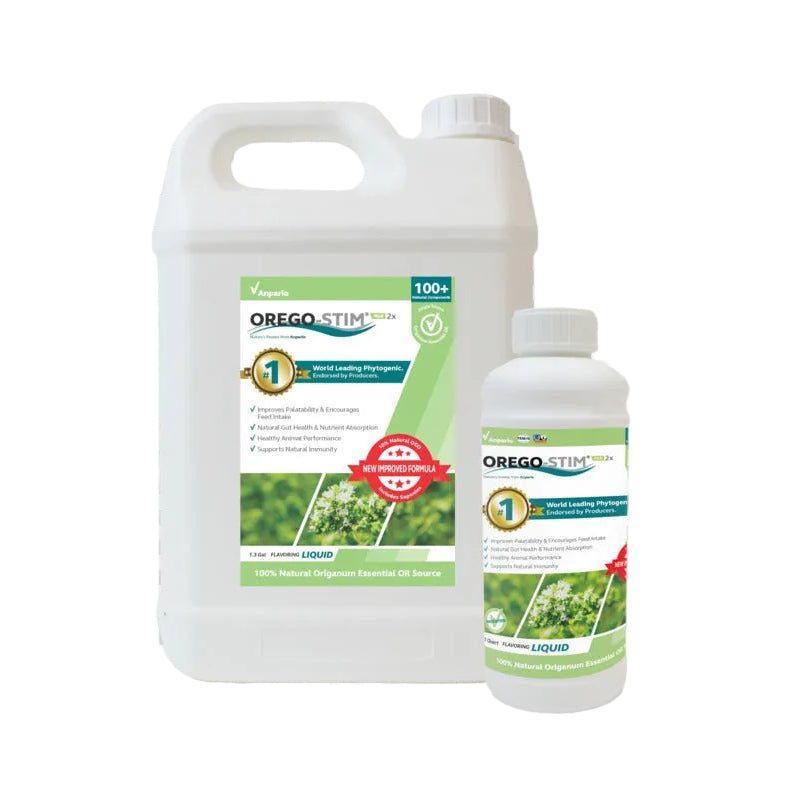 Orego - Stim Plus Liquid 2X - 5L - QC Supply - 