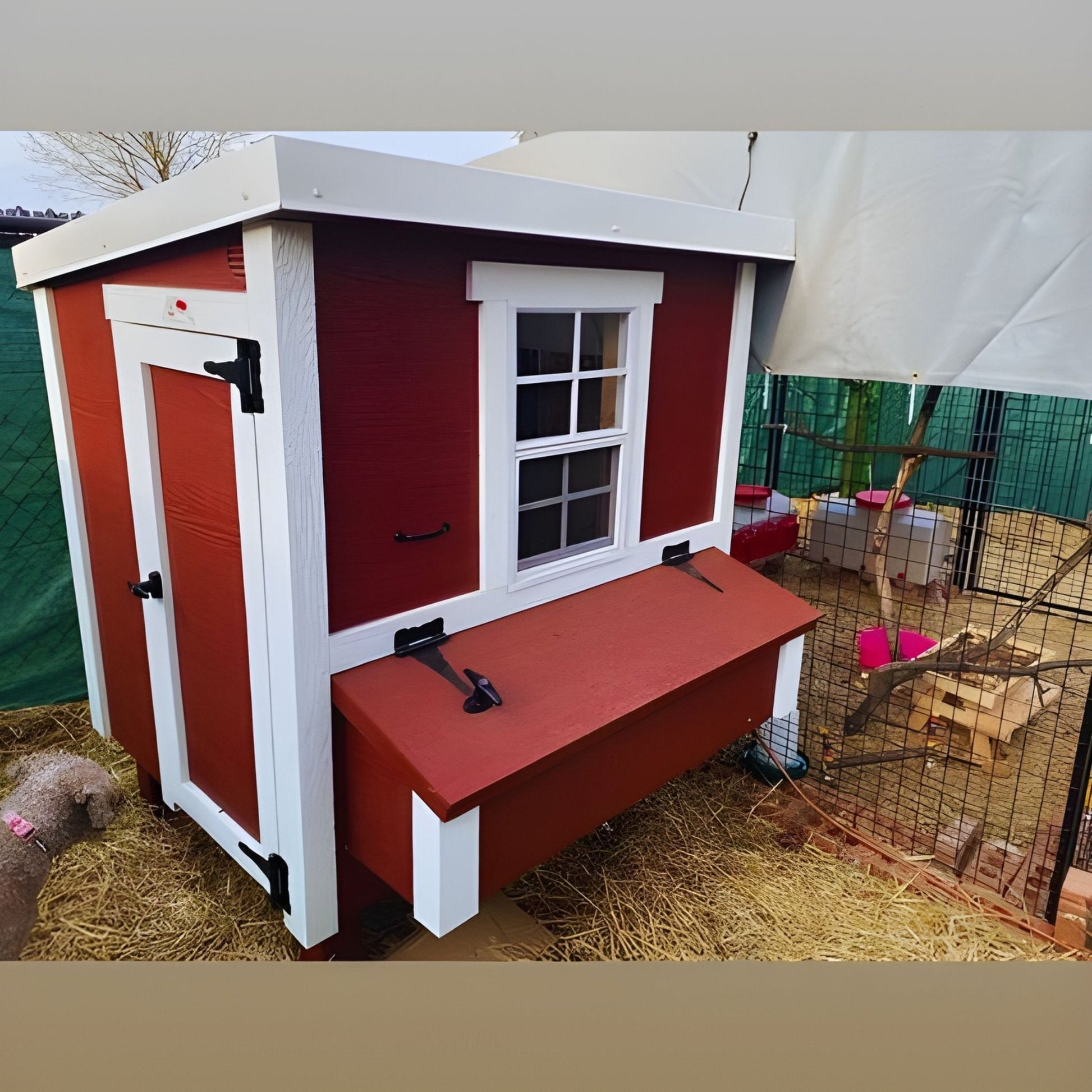 OverEZ Medium Chicken Coop - QC Supply - 