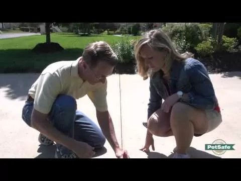PetSafe® Basic In - Ground Fence™ - QC Supply - 