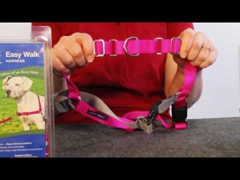 PetSafe® Easy Walk® Harness - QC Supply - 