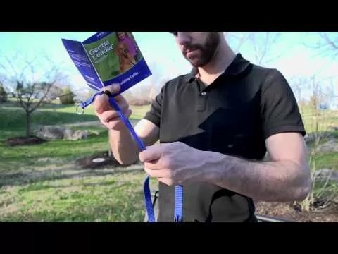 PetSafe® Gentle Leader® Headcollar - QC Supply - 
