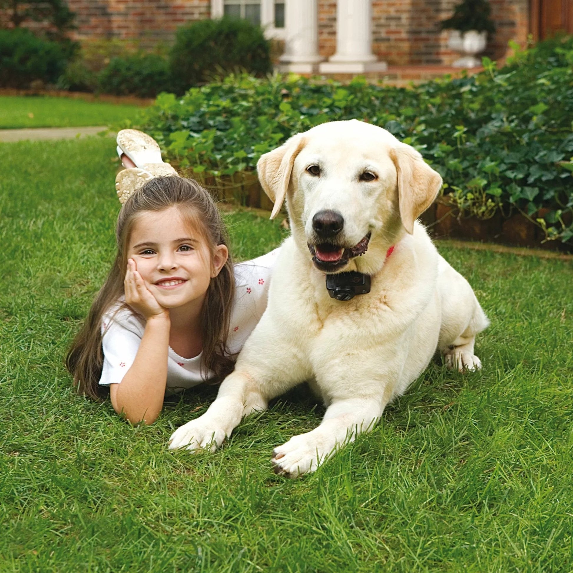 PetSafe® Wireless Containment System - QC Supply - 