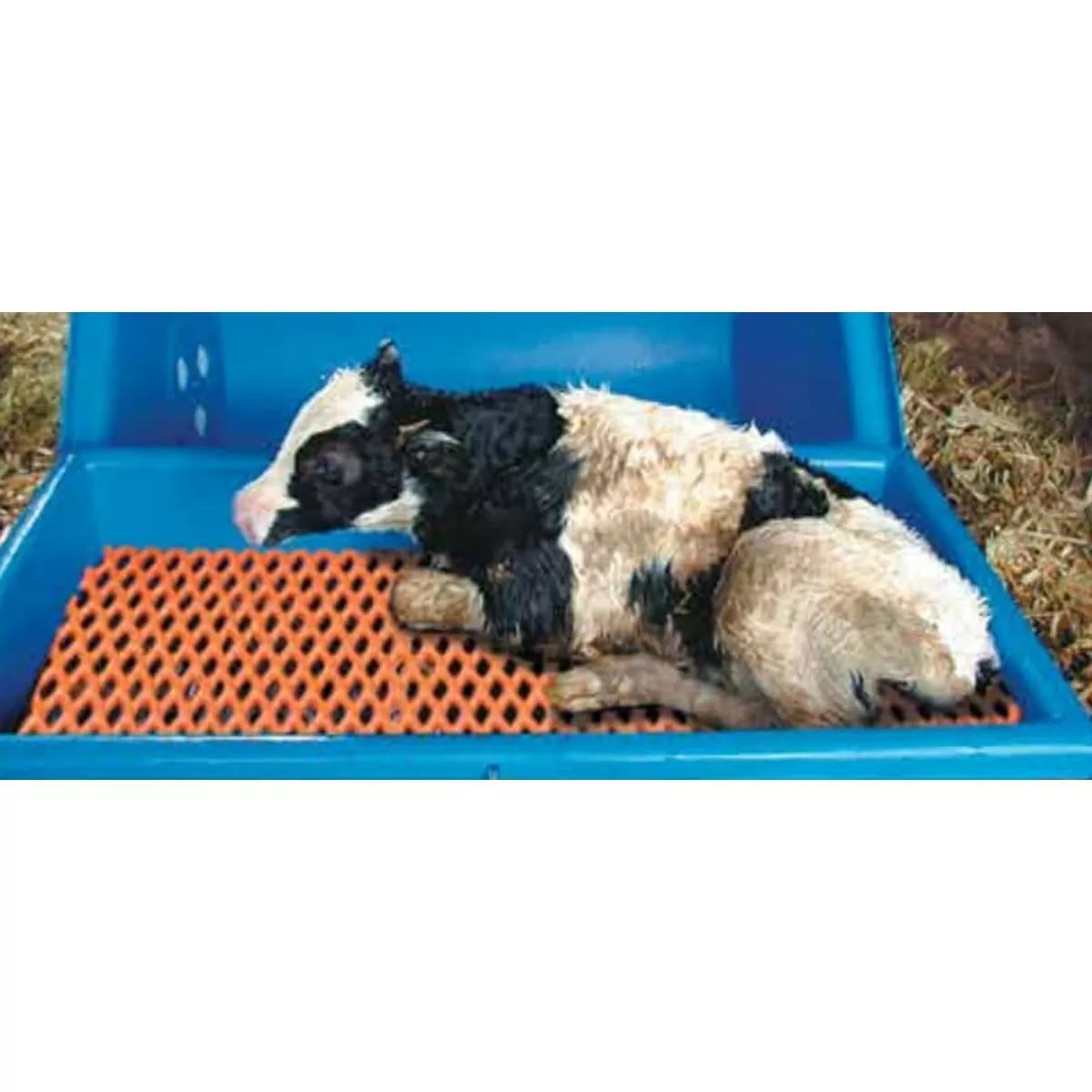 PolyDome Calf Warmer - 110V - QC Supply - 