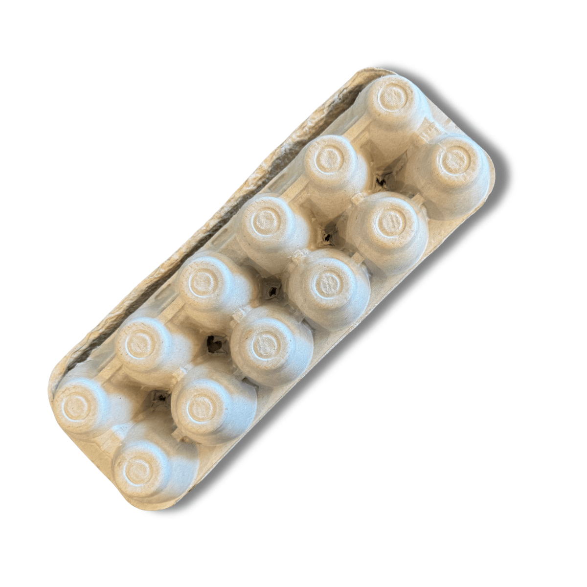 QC Supply 12 - Egg Cartons (25 - Pack) - QC Supply - 