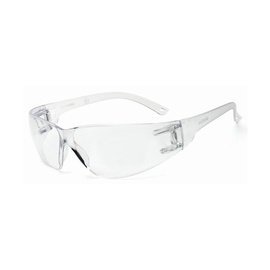 RADNOR™ Classic Clear Safety Glasses With Clear Anti-Fog/Anti-Scratch Lens - QC Supply -