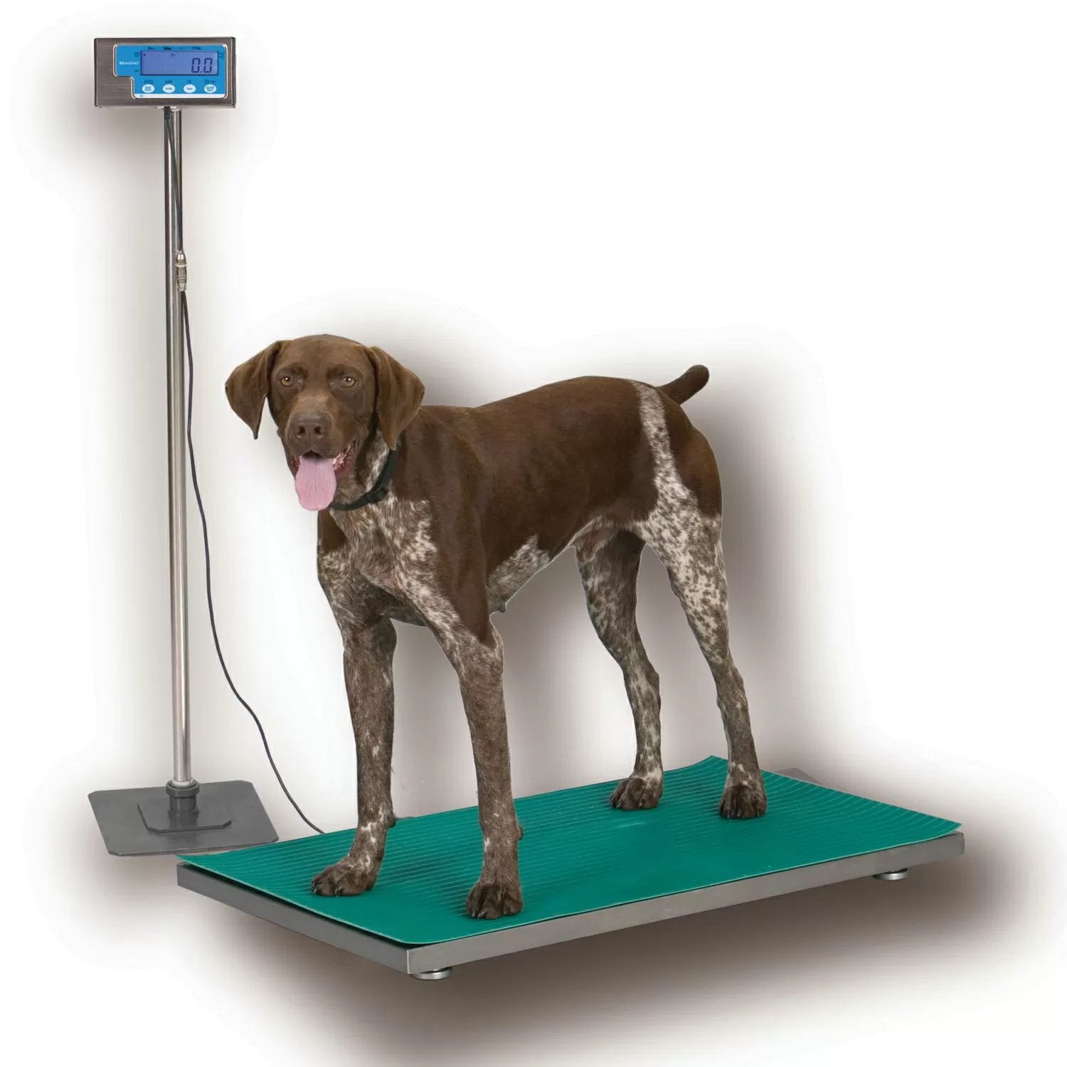Salter Brecknell PS500 Floor Scale with Indicator - QC Supply - 