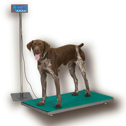Salter Brecknell PS500 Floor Scale with Indicator - QC Supply - 