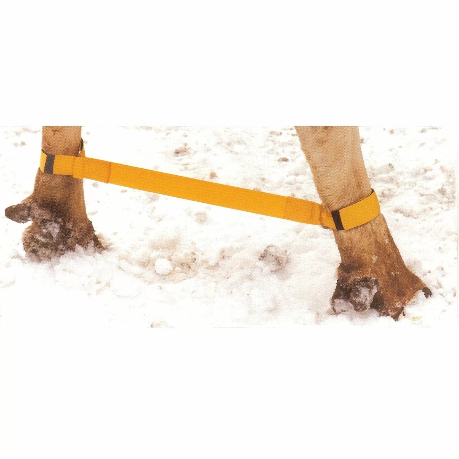 Split Gard Safety Hobble - QC Supply - 