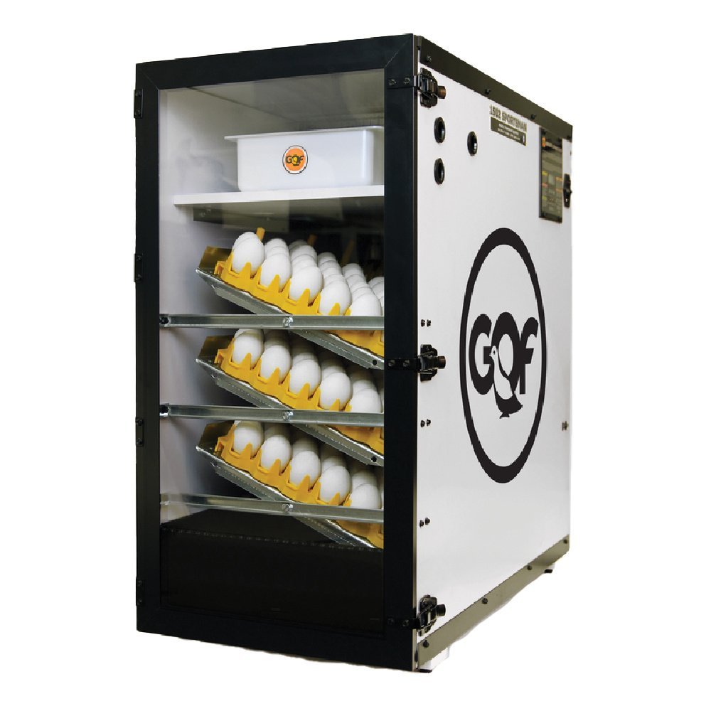 Sportsman 1502 Digital Incubator - QC Supply - 