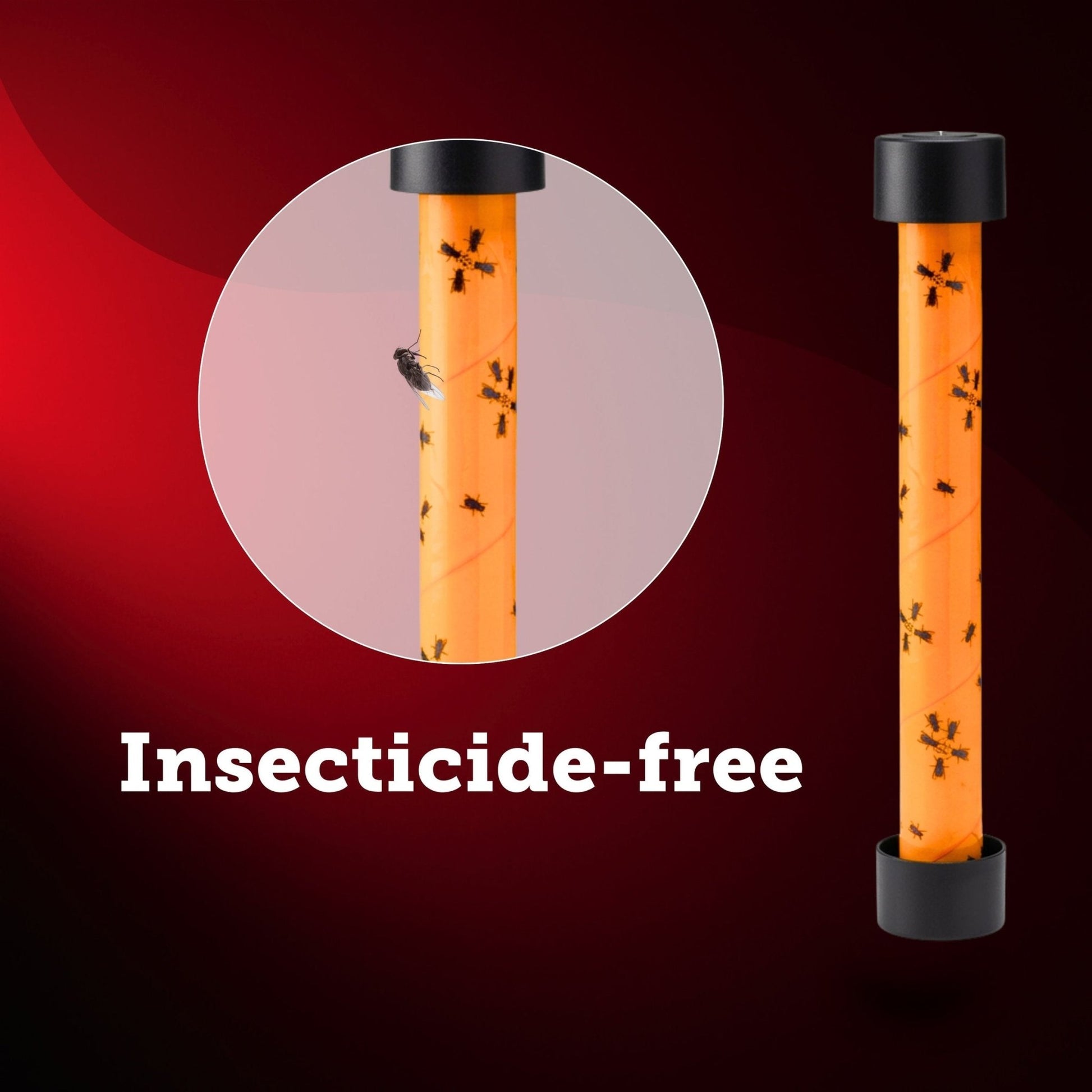 Starbar® Fly Stik™ Junior Sticky Fly Trap - QC Supply -