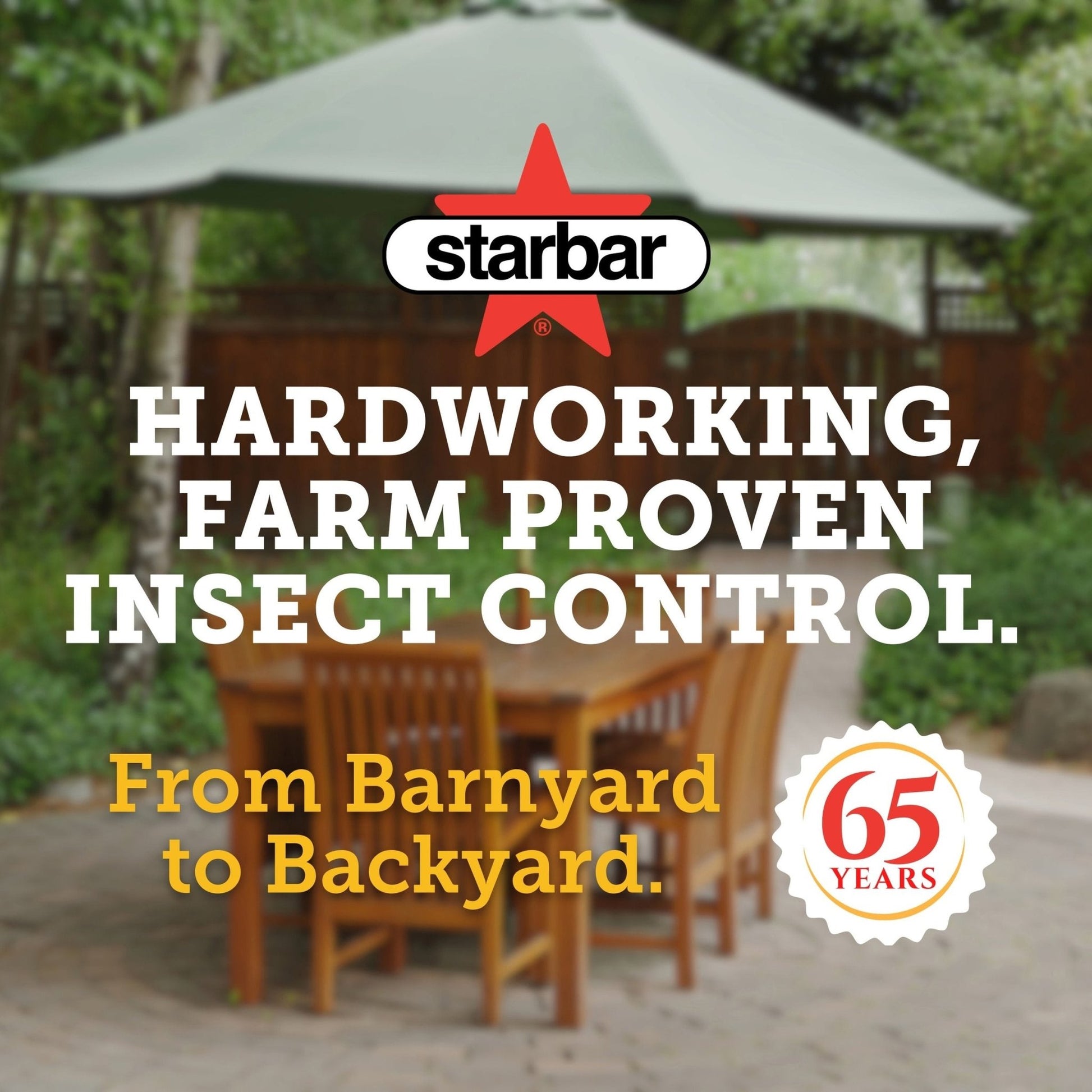 Starbar® Fly Stik™ Junior Sticky Fly Trap - QC Supply -