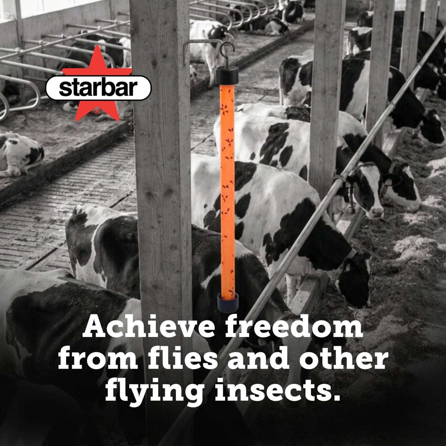 Starbar® Fly Stik™ Sticky Fly Trap - 24" - QC Supply -