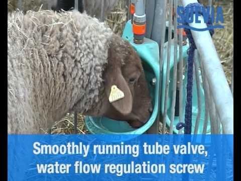 Suevia Drinking Bowl - Model 370 - QC Supply - 