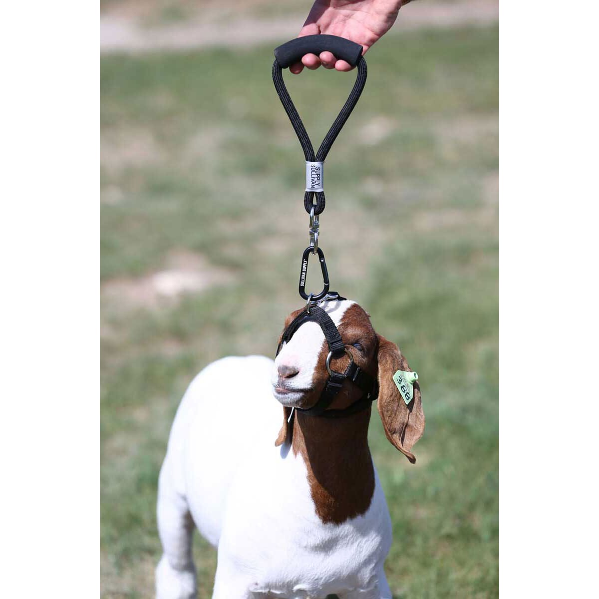 Sullivan Supply Buddy System - QC Supply - 