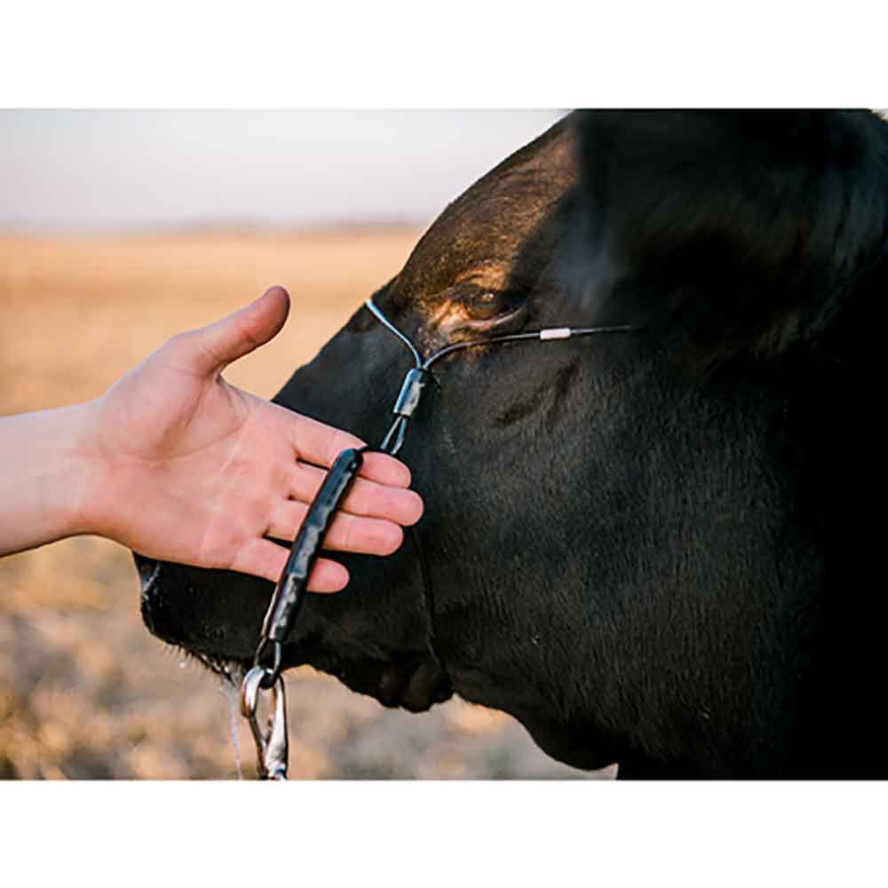 Sullivan's Phantom Cattle Cable Halter w/Ghost Grip - QC Supply - 