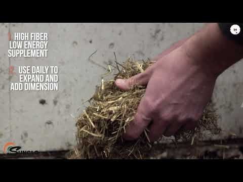 Sunglo 2 THE FULLEST Forage Source - QC Supply - 