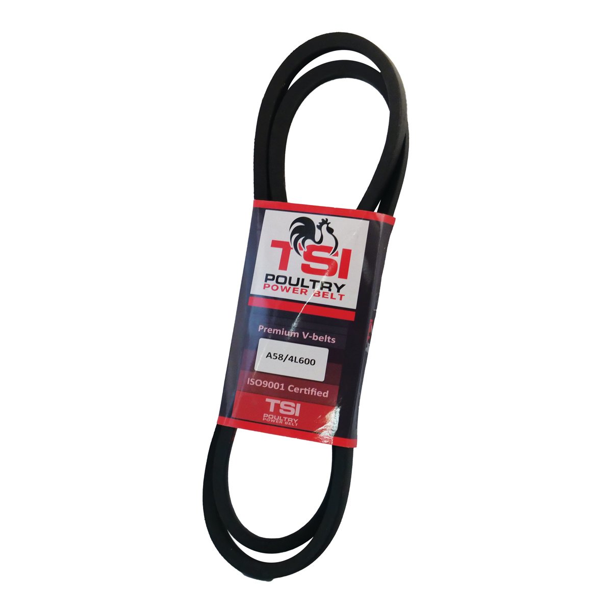 TSI Poultry A58/4L600 V - Belt - QC Supply - 