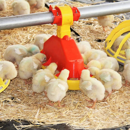 TurboMate 2® Chick Feeder - Short Version - QC Supply - 