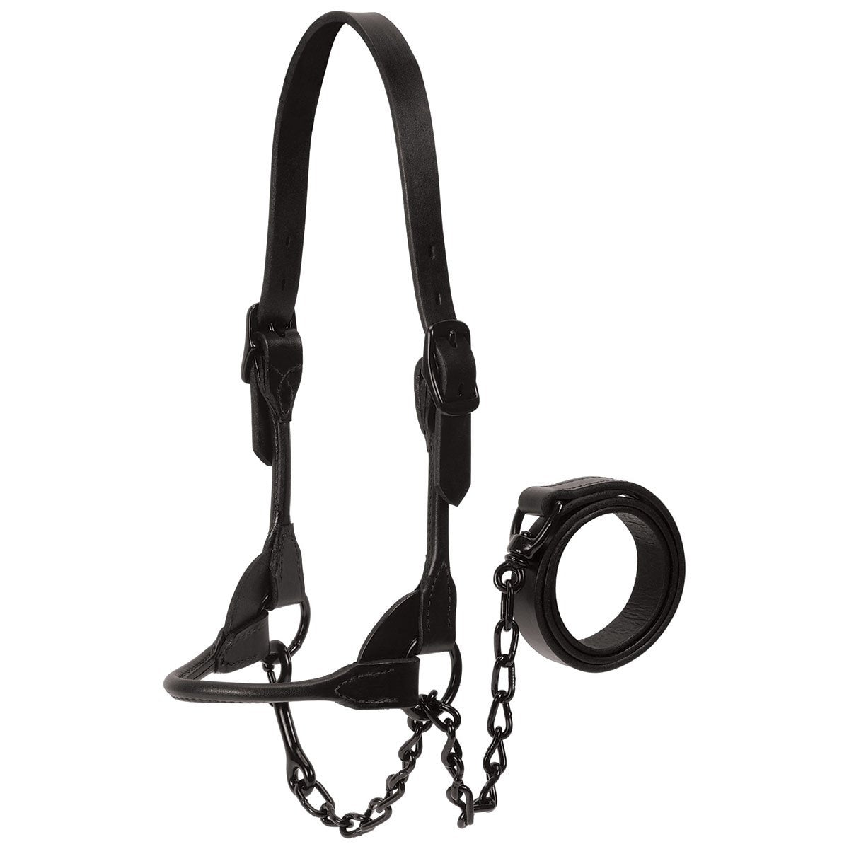 Weaver Livestock Black Magic Show Halter - QC Supply - 