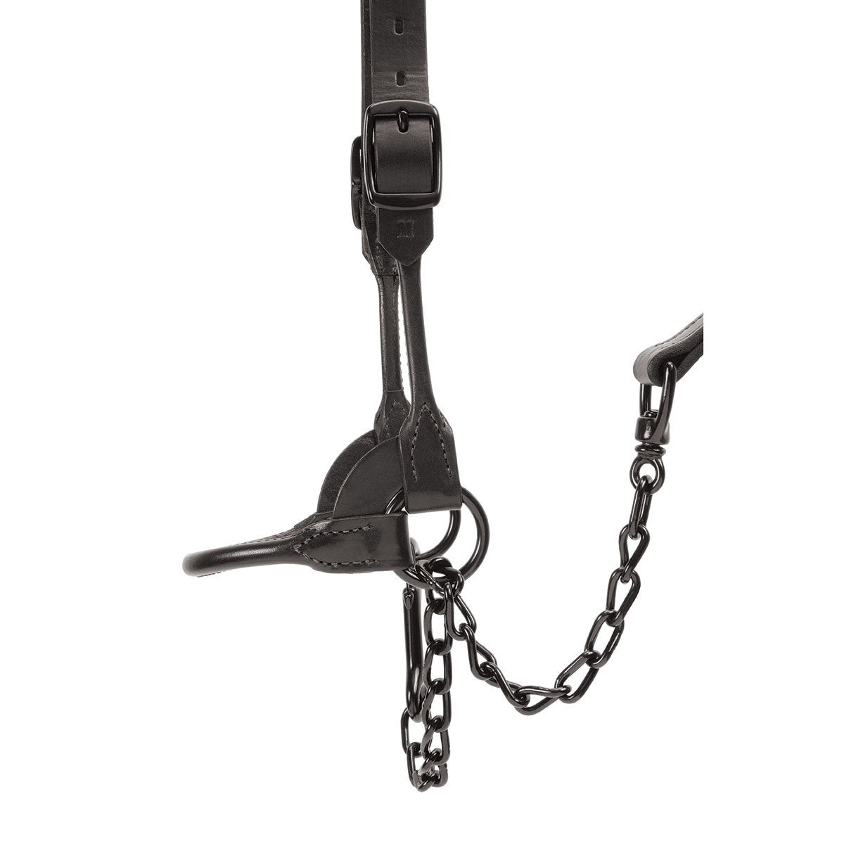 Weaver Livestock Black Magic Show Halter - QC Supply - 