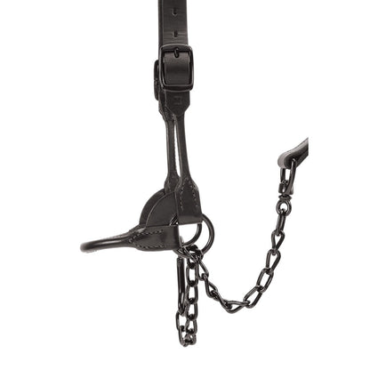 Weaver Livestock Black Magic Show Halter - QC Supply - 