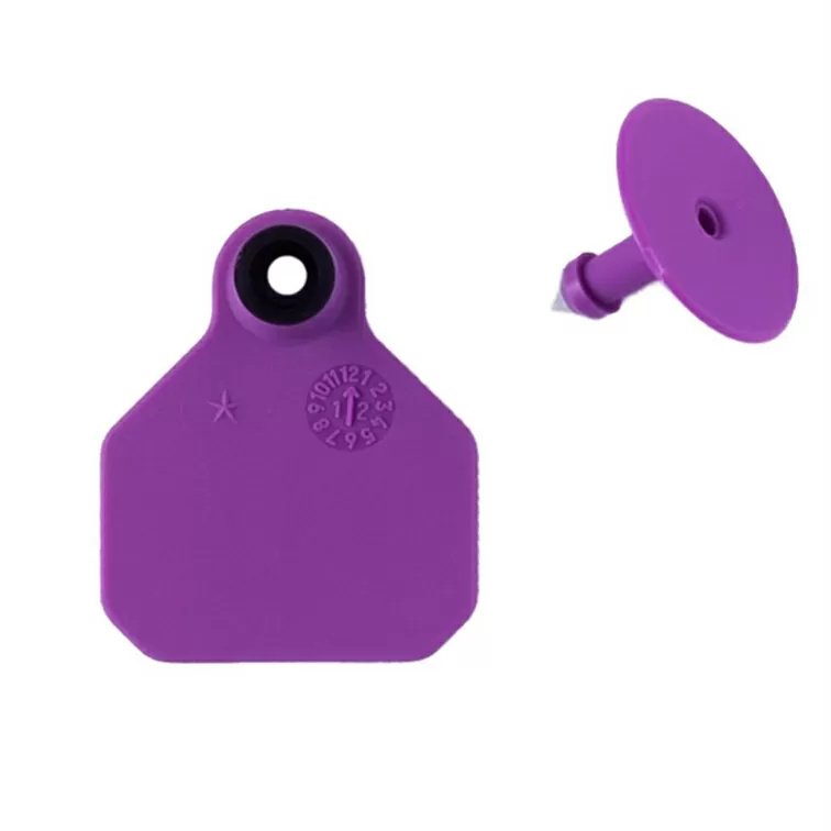 Y - Tex® 1 Star Mini Tag Blank - 25/Bag - QC Supply - 