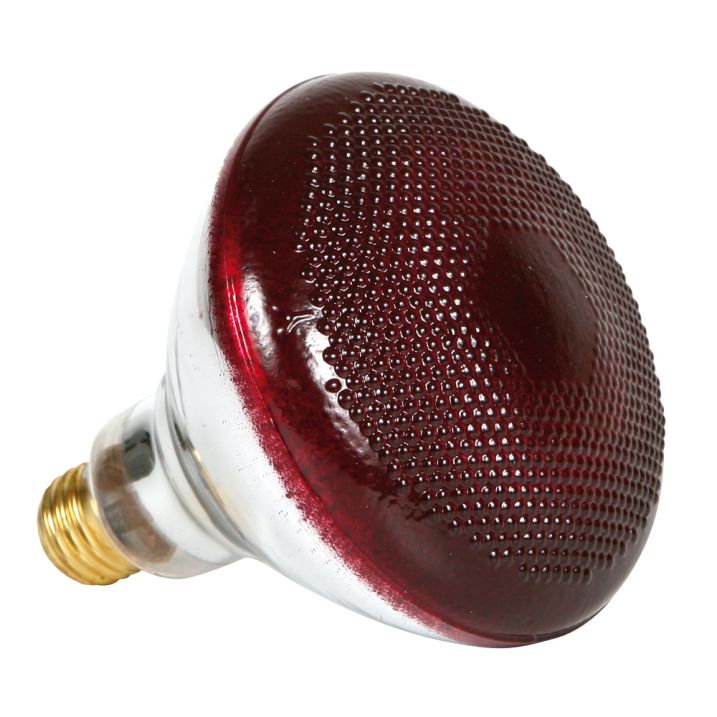 Infrared Heavy Duty Hard Glass Red Heat, How Many Watts To Run A Heat Lamp