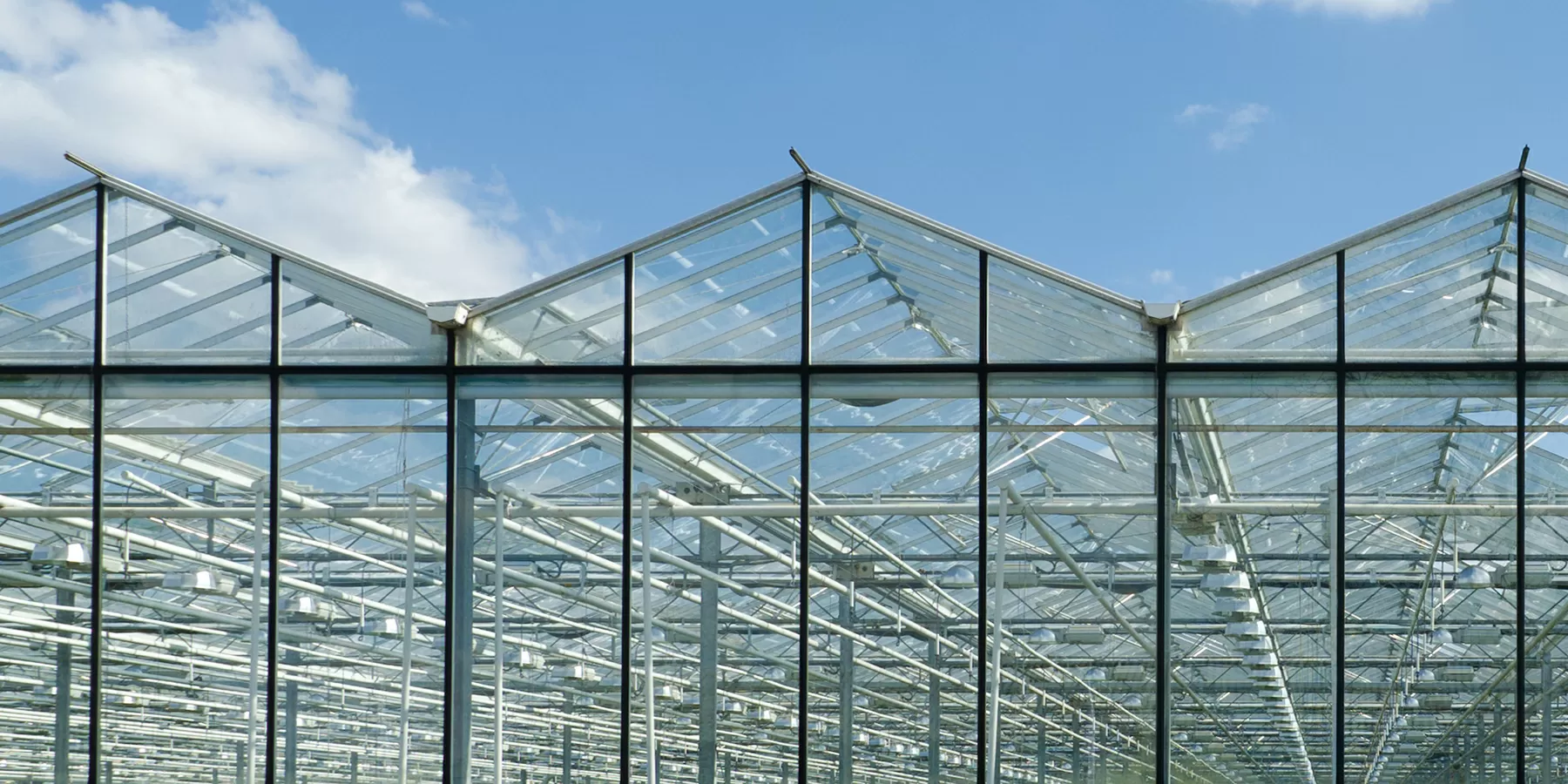 Greenhouse Image